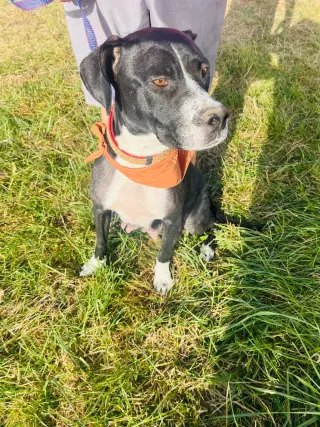 Dori CO