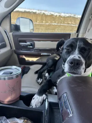 Dori CO