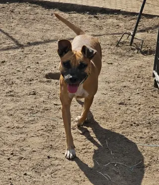 Tina