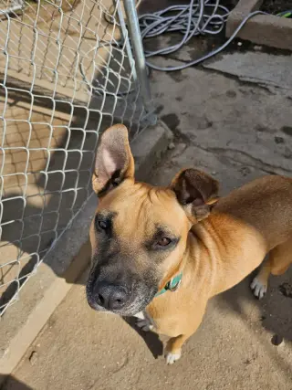 Tina