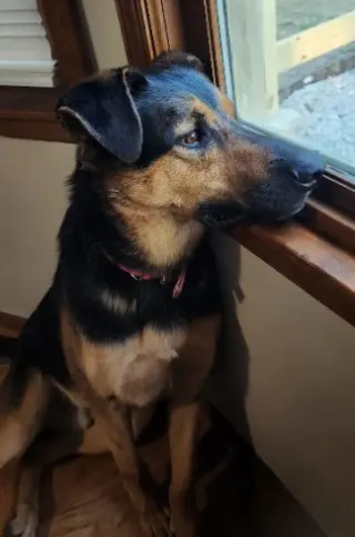 Kobe