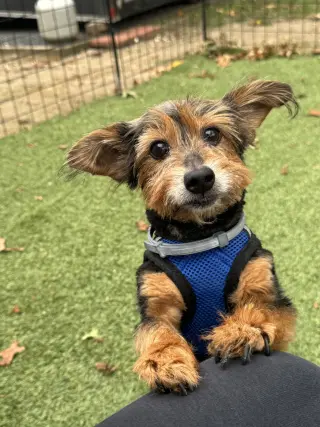 Murphy