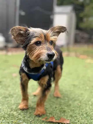 Murphy