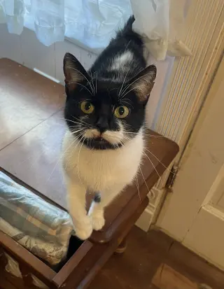 Rory (Aurora)