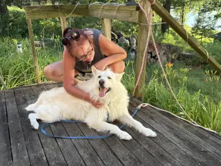 Polar