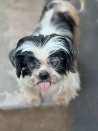 Luna