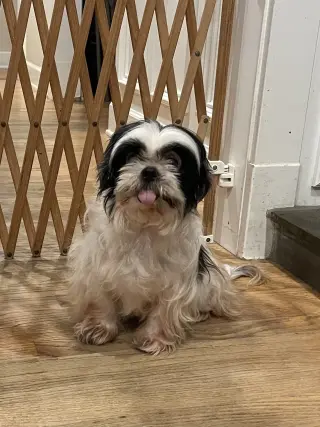 Luna