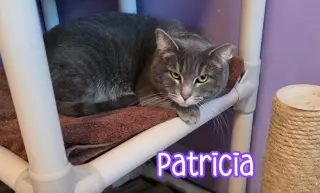 Patricia