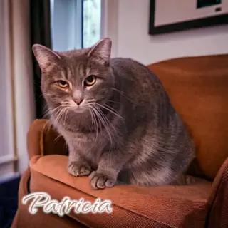 Patricia