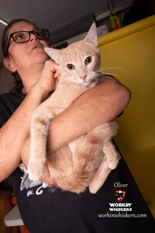 OLIVER