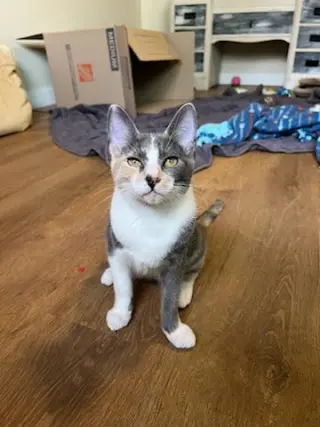 Luna Belle