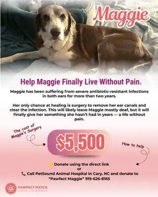 Maggie Pearl - Hospice Only