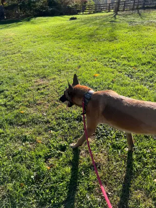 Cairo - KY