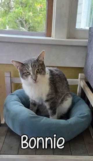 Bonnie