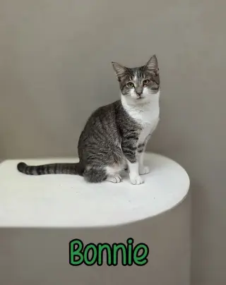 Bonnie