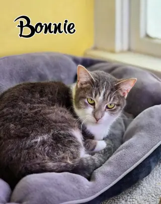 Bonnie