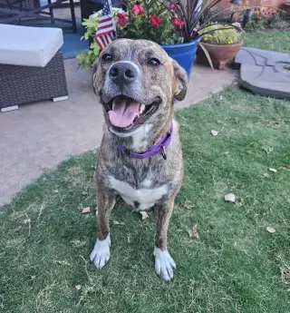 Chloe