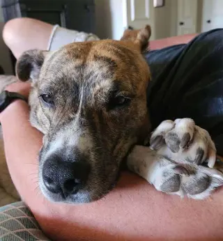 Chloe