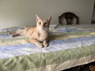 Hermione