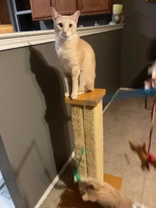 Hermione
