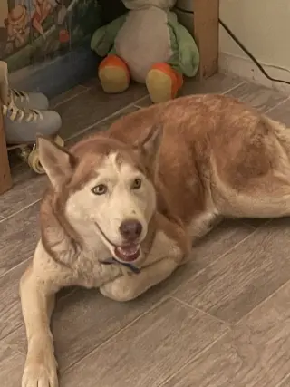 Coco