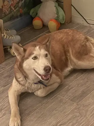 Coco