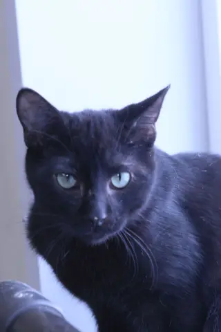 Katrina