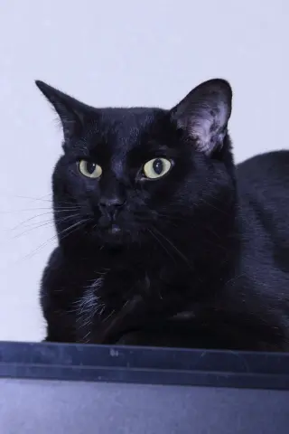 Katrina