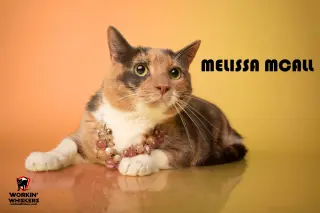 MELISSA McCALL