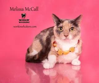 MELISSA McCALL