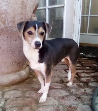 Cruiser-Tiny cutie