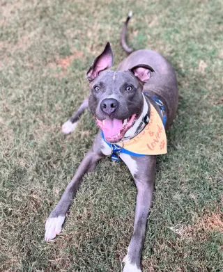 Nash