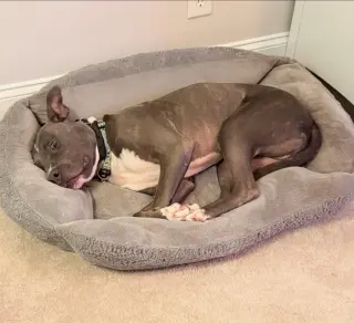 Nash