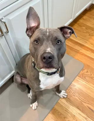 Nash