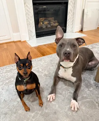 Nash