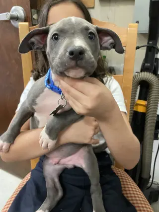 Nash