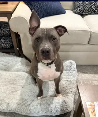 Nash
