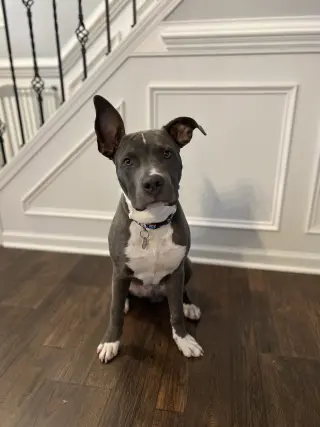 Nash