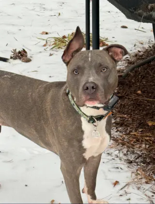 Nash