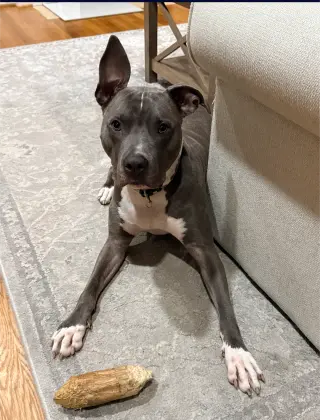 Nash