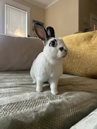 Felicity