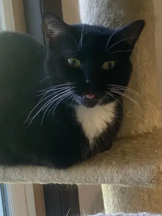 Samantha