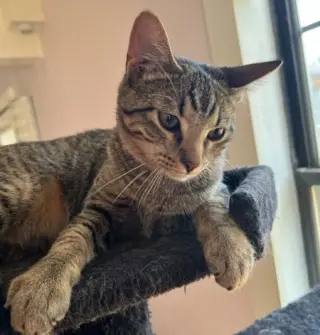 Fergus S.