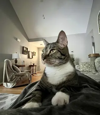Carbonara