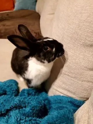 Charlie Kale