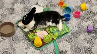 Charlie Kale