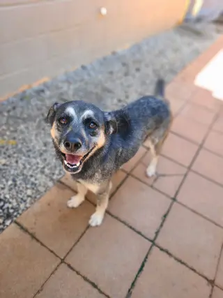 PRECIOUS