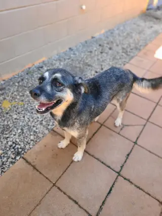 PRECIOUS