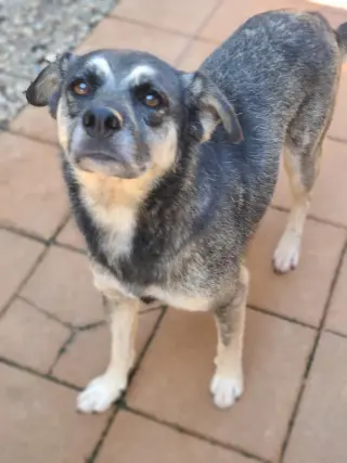 PRECIOUS