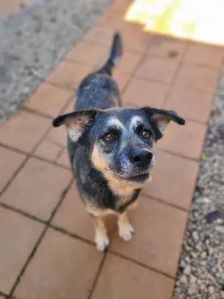 PRECIOUS
